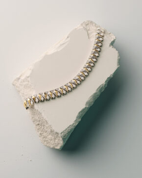 Arslanian - Sébastien Coindre